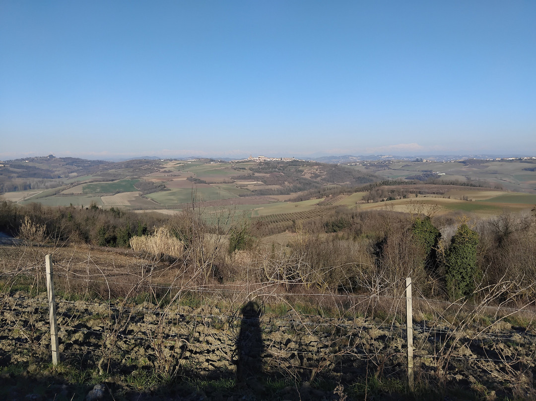 Strada Panoramica Tra Cuccaro Monferrato e Lu景点图片