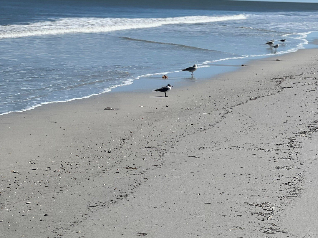 Element Jacksonville Beach主图