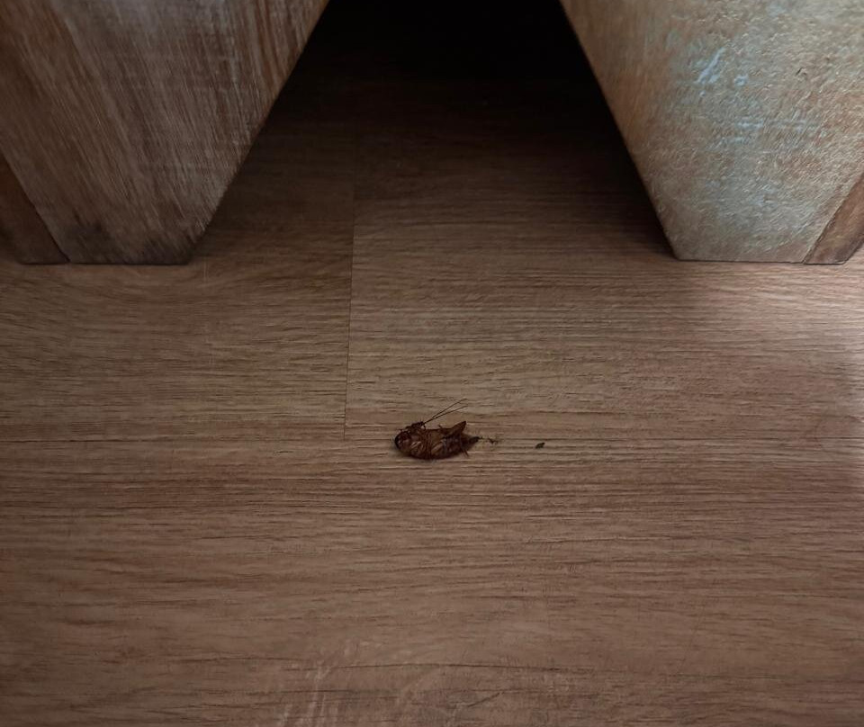 Pousada dos Sonhos主图