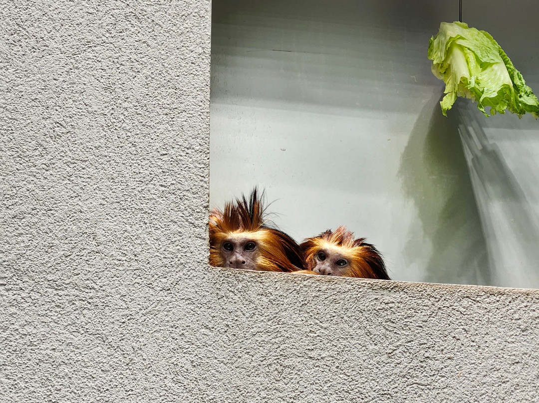 奥兰多科学中心-奥兰多必去景点