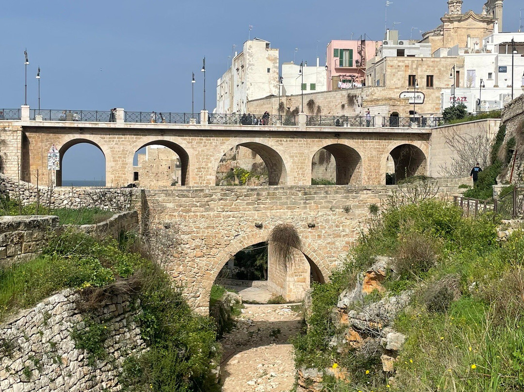 Ponte Borbonico di Lama Monachile景点图片