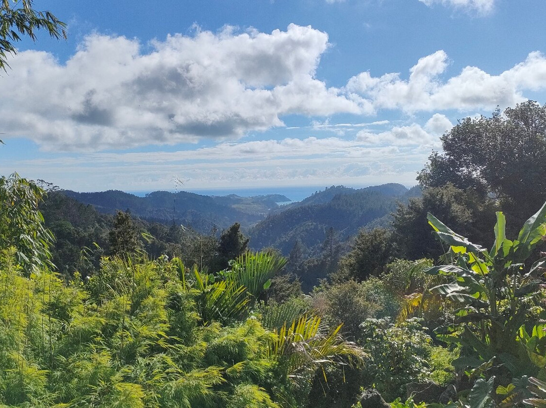 The Gallery & Cafe Helena Bay Hill景点图片