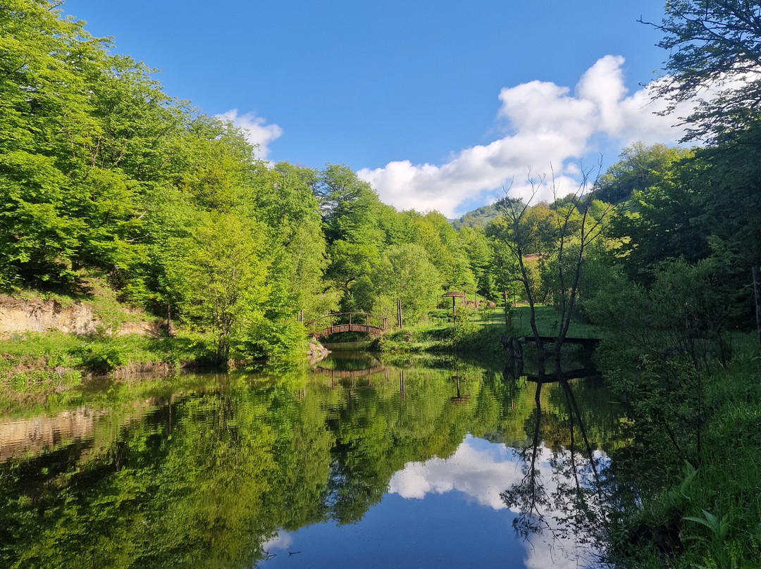 Ecokayan Dilijan Resort Hotel主图