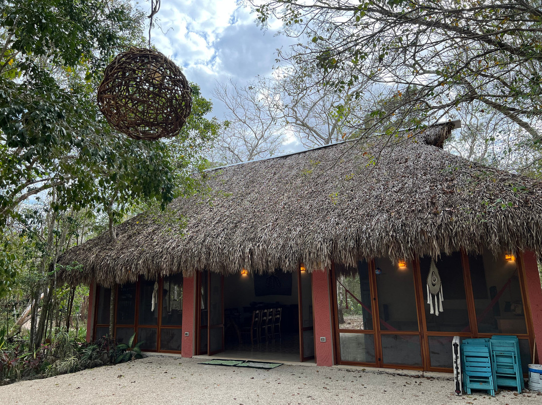 Experiencia Privada en Cenote Exclusivo景点图片