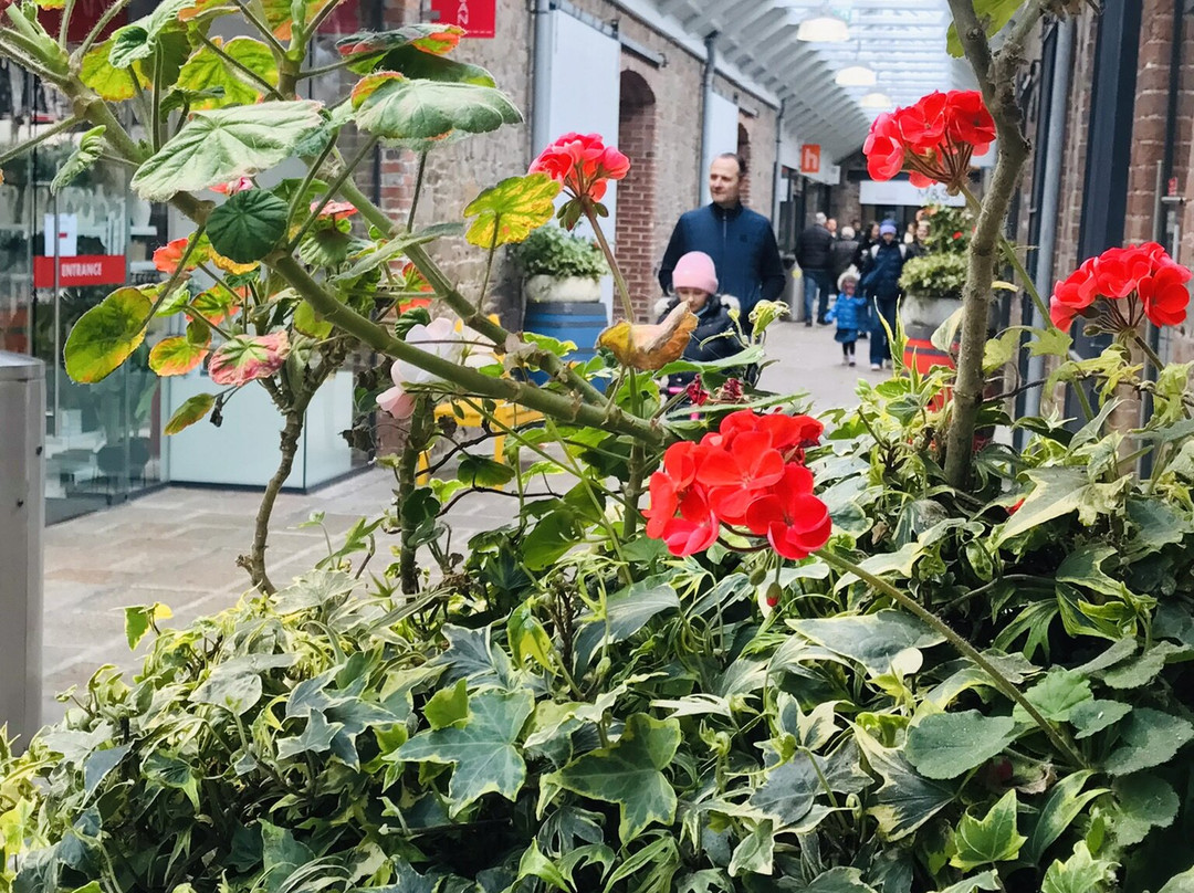 Liberty Wharf Shopping Centre-St. Helier必去景点
