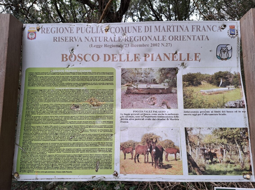 Bosco delle Pianelle Natural Reserve-马丁纳弗兰卡必去景点