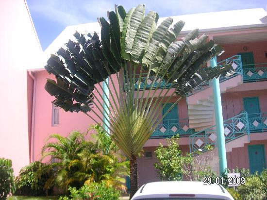 Residence Marifa主图