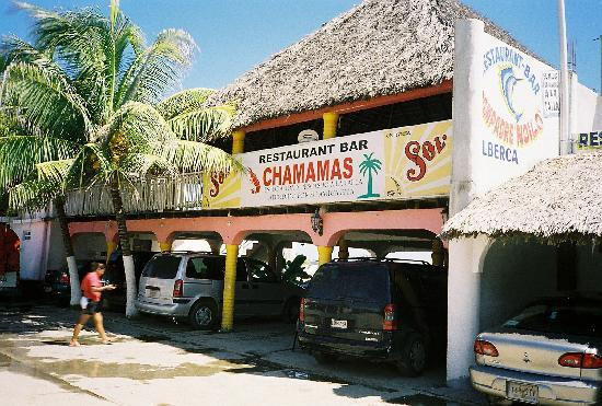 La Orquidea Bonfil主图