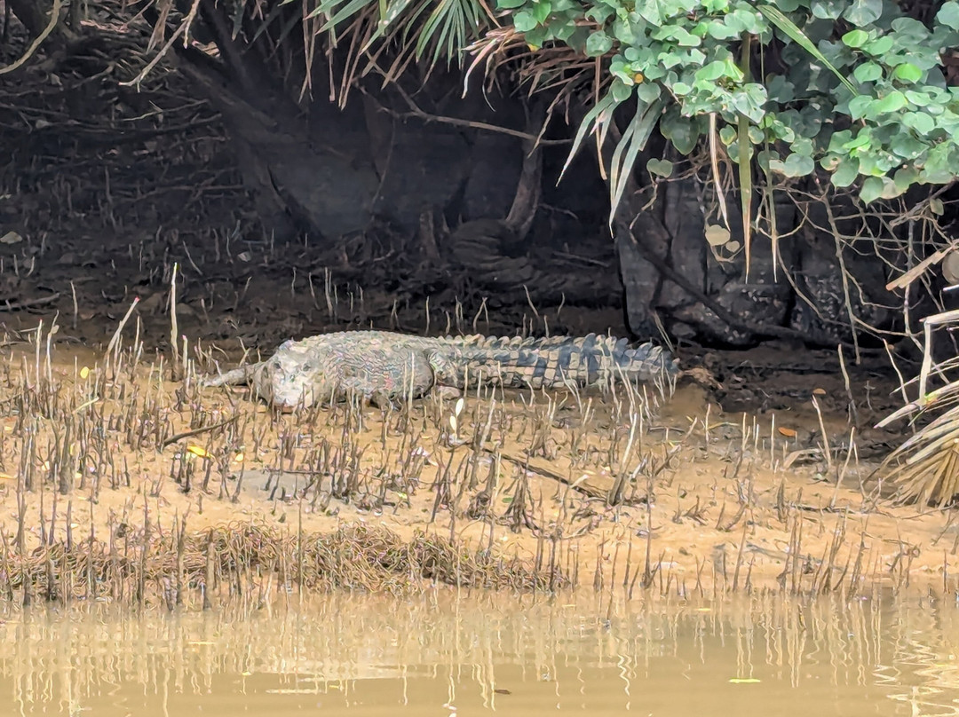 Kuantan River Cruise-关丹必去景点