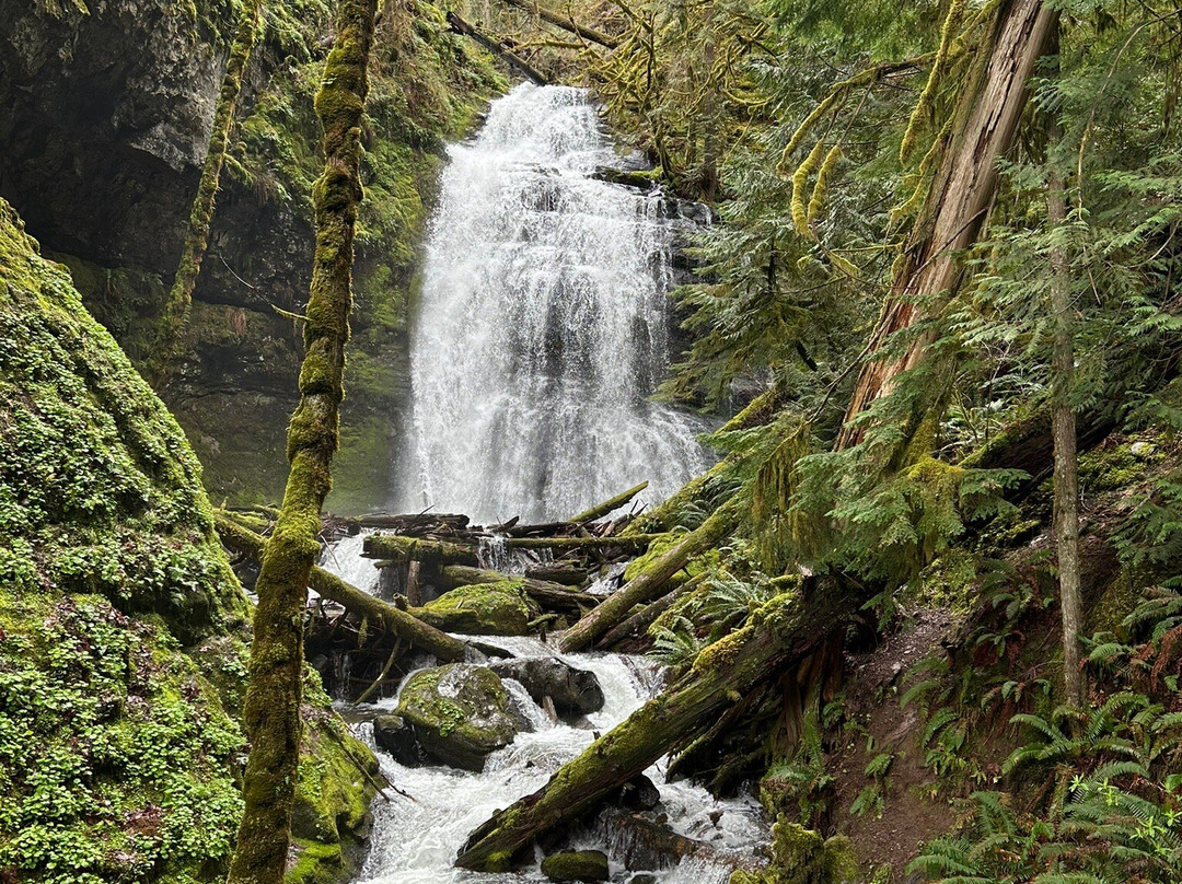 Odell Lake Lodge & Resort主图