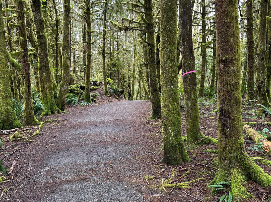 Combers Beach-托菲诺必去景点