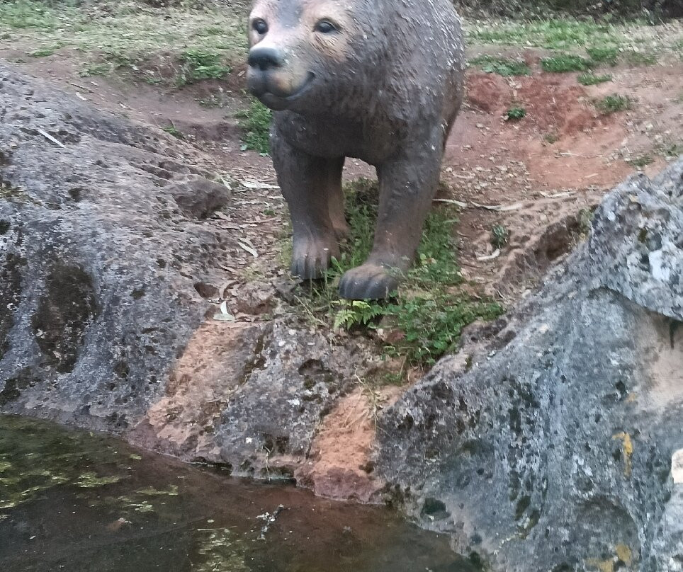 Ecoparque Sensorial da Pia do Urso景点图片