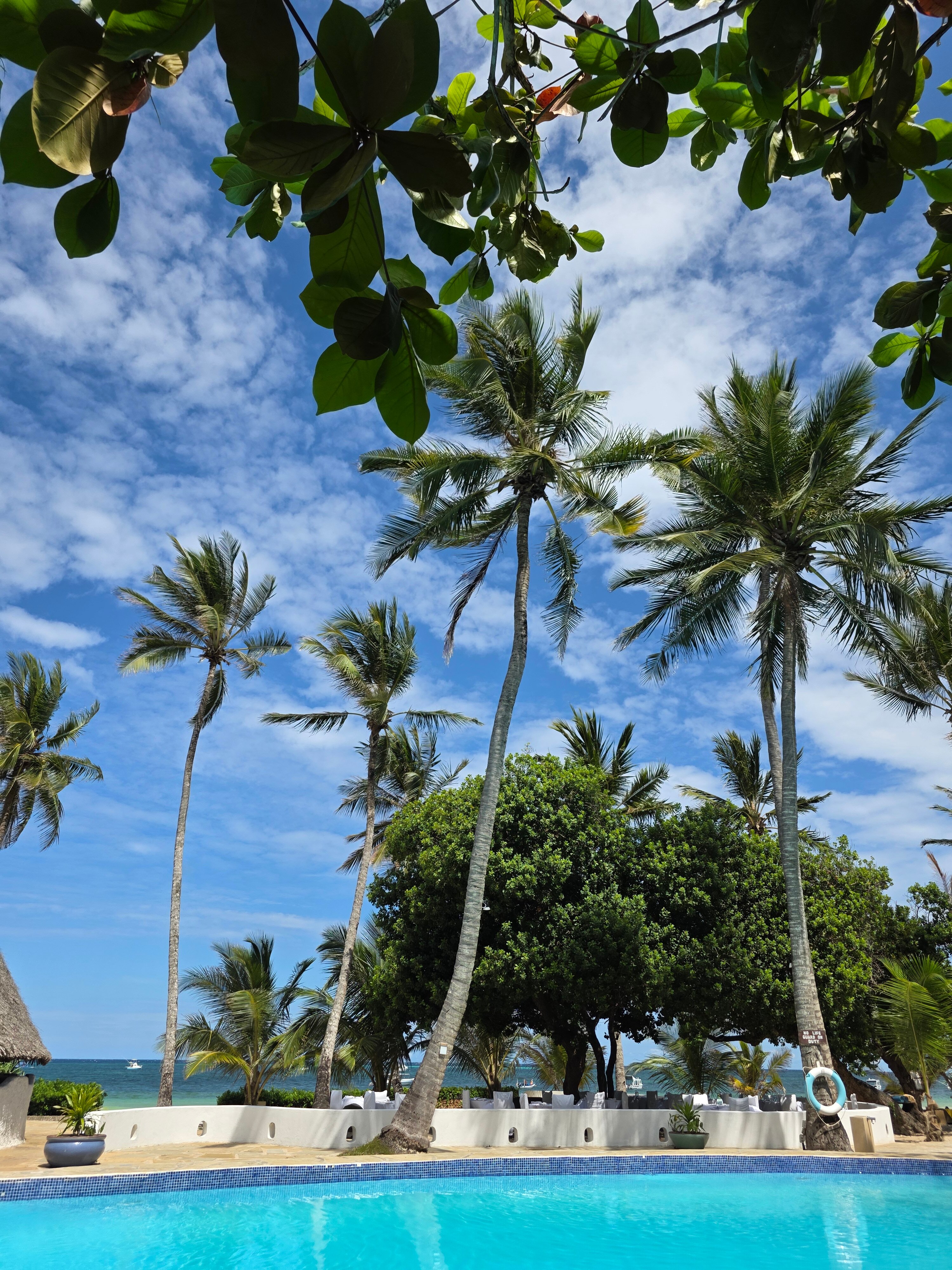 Ocean Village Club-官方