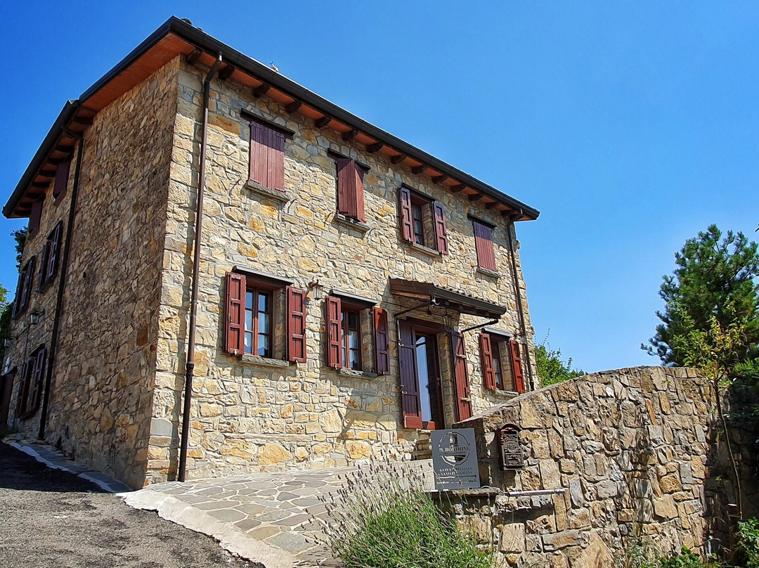 Il Bordone Del Pellegrino