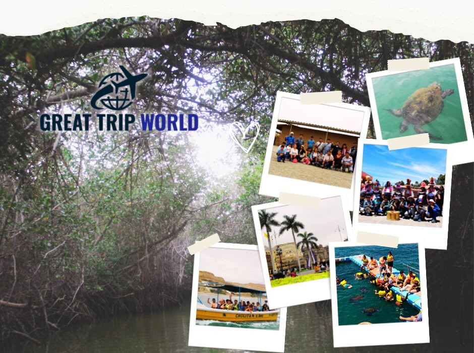 Great Trip World景点图片