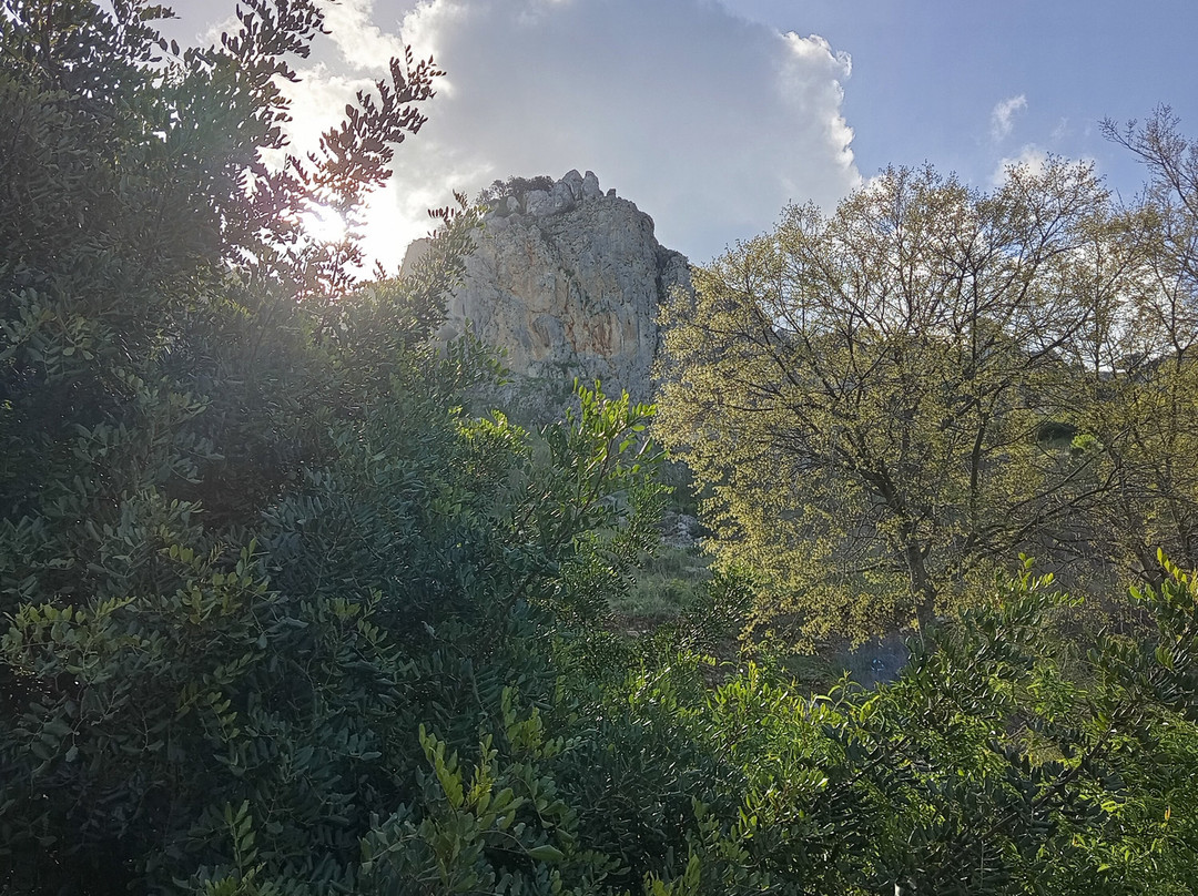Iberfauna景点图片