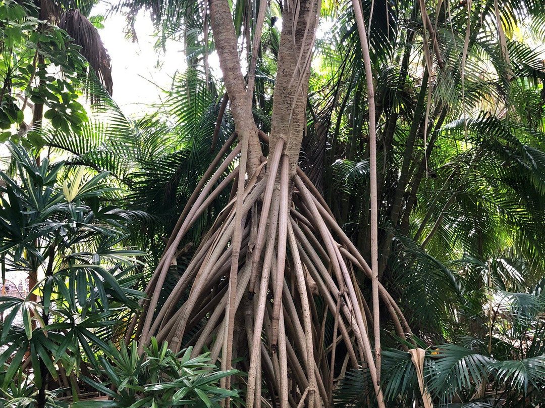 Deerfield Beach Arboretum-迪尔菲尔德比奇必去景点