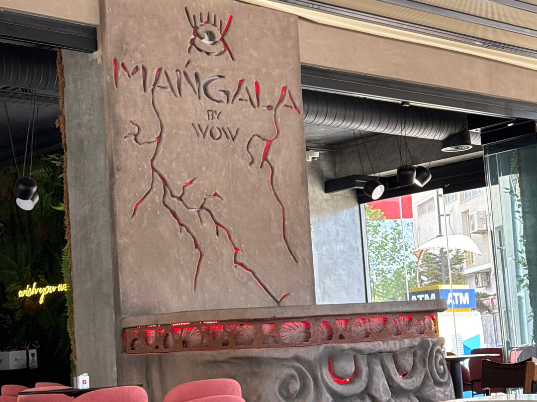 Mangala by Wow Cocktails Bar-夫罗勒必去景点