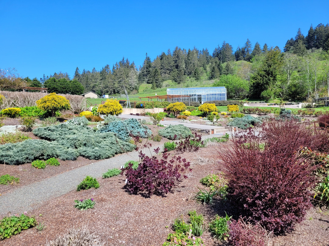 Humboldt Botanical Garden-尤里卡必去景点