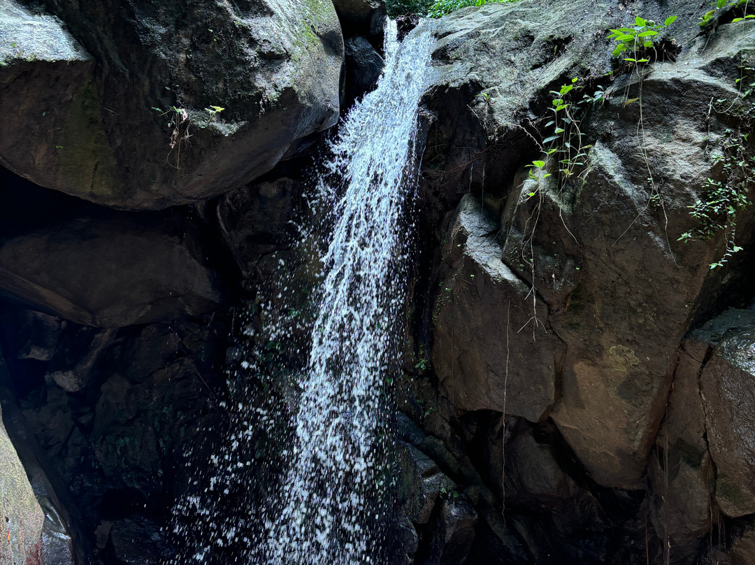 Chiang Mai Eco Trekking景点图片