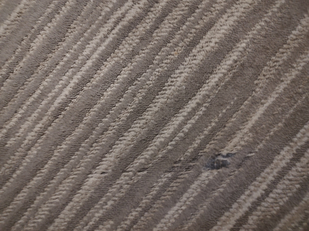 Hyatt Place Baltimore/Bwi Airport主图