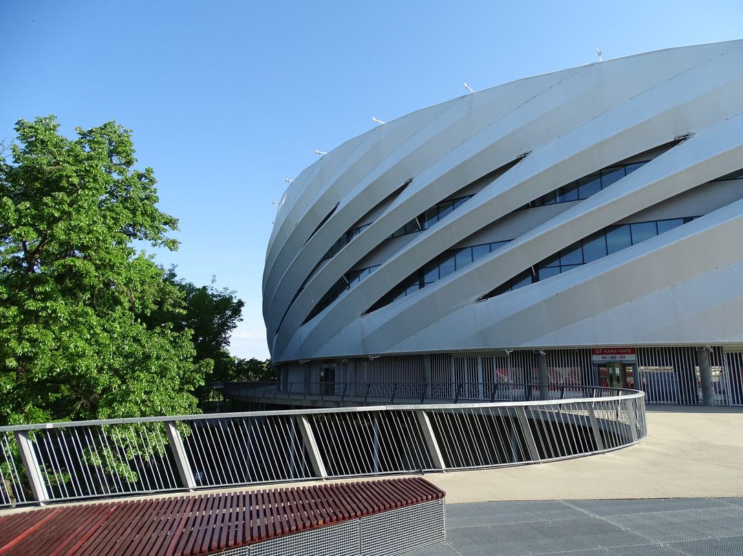 Nagyerdei Stadium景点图片