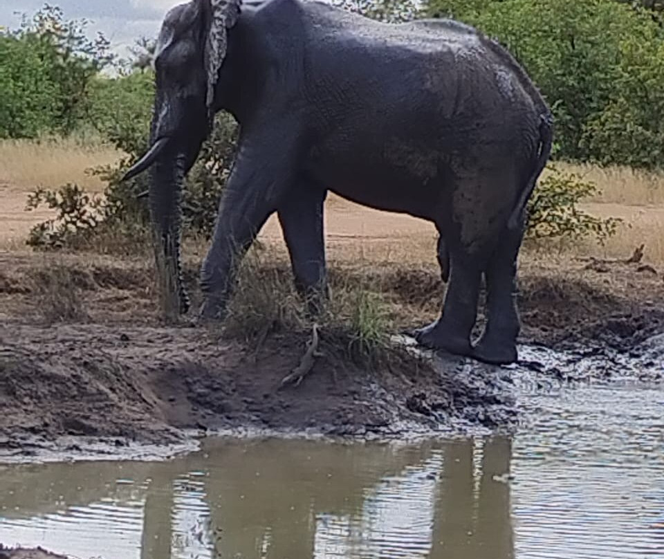 Lulu Safari's-伐拉博瓦必去景点