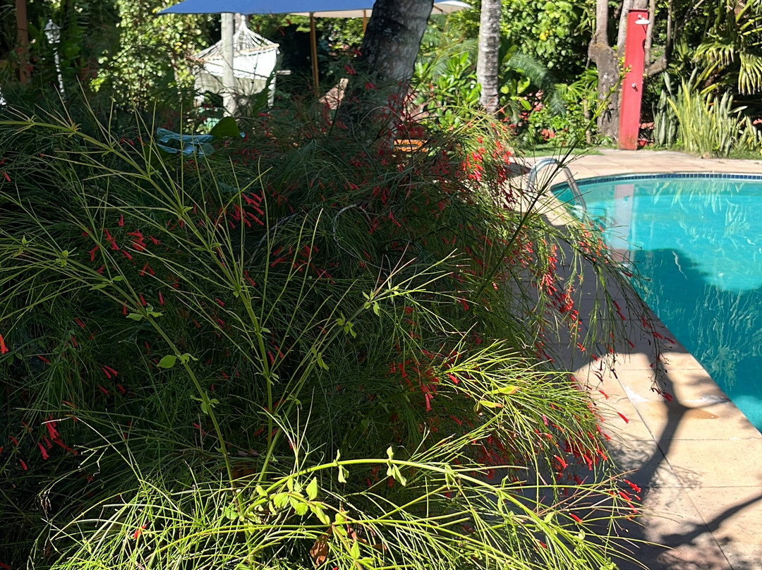 Pousada Catamara主图