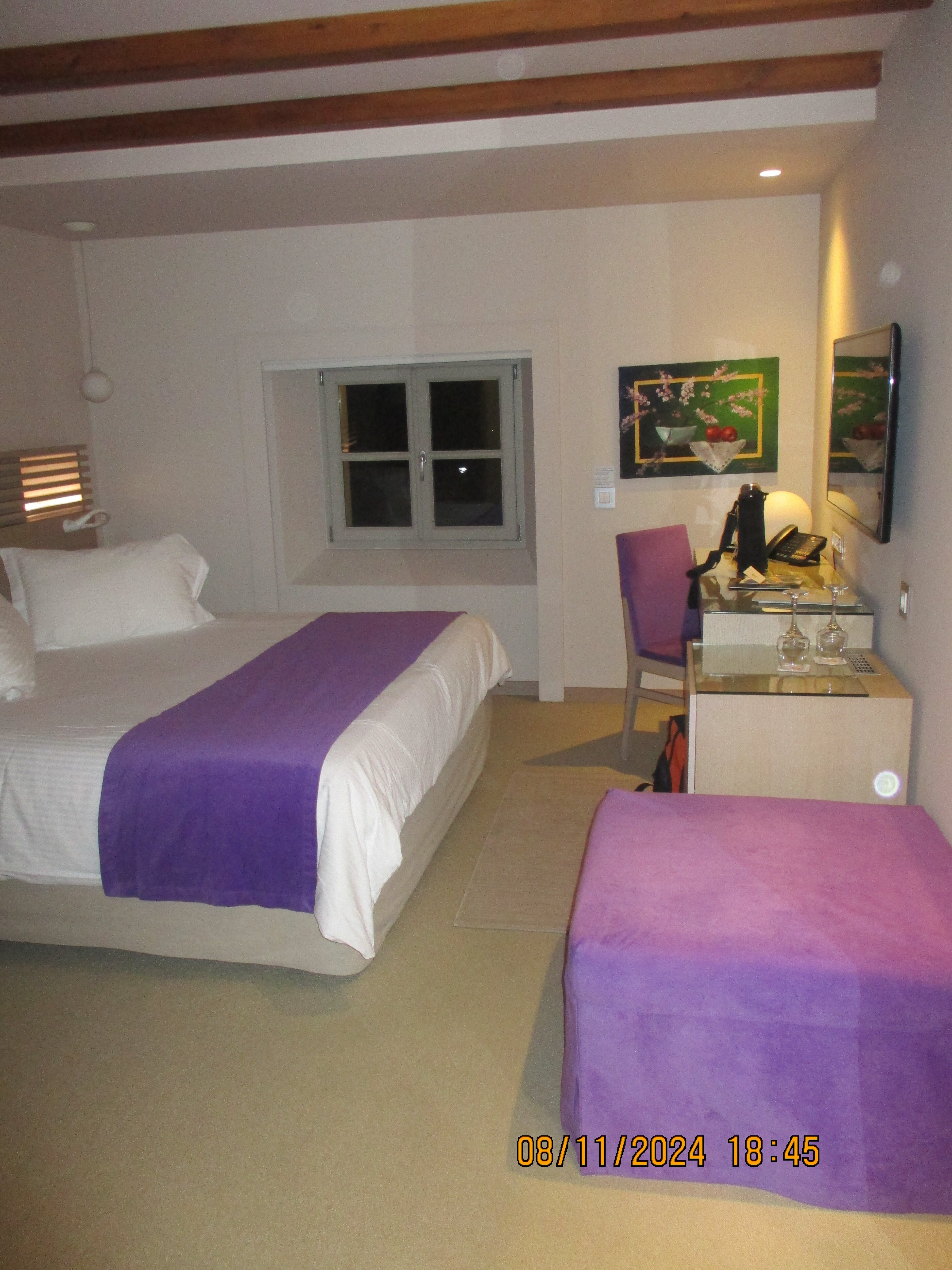 Hydrama Grand Hotel-客卧