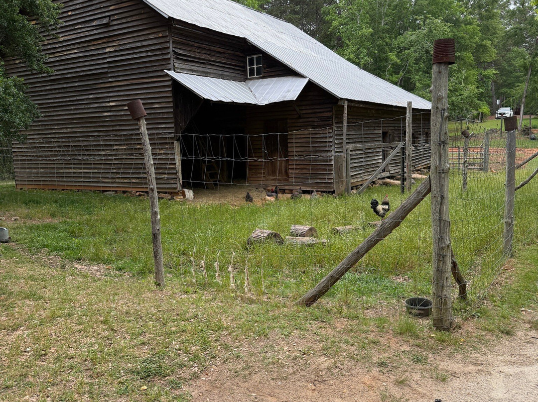 Jarrell Plantation Historic Site-Juliette必去景点