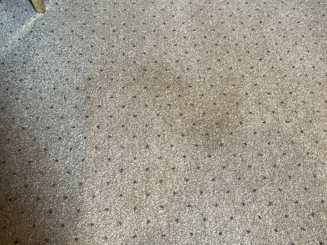 皇冠假日酒店&度假村主图