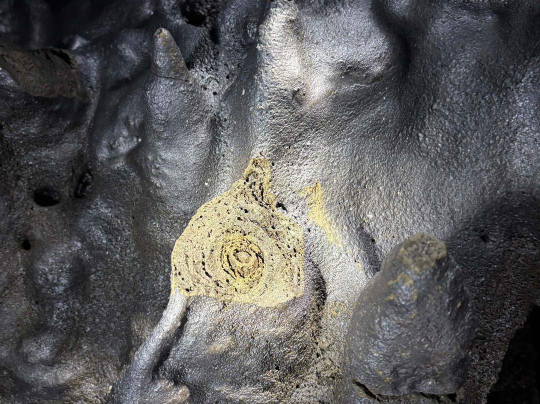 Kazumura Cave Tours-希洛必去景点