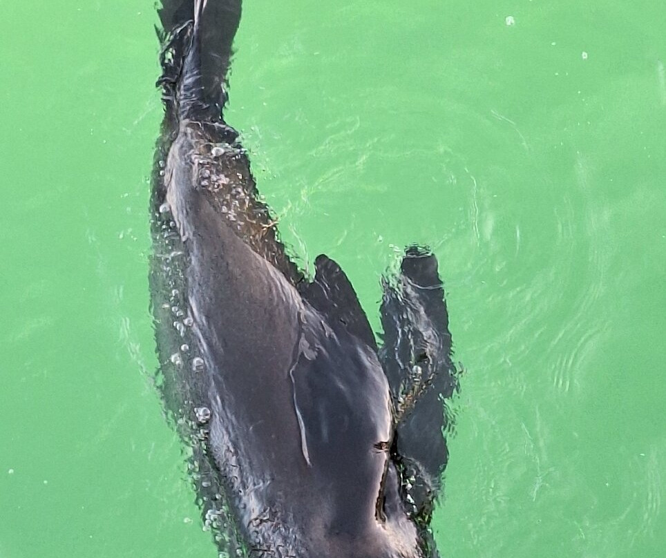 Semaphore Beach-Semaphore必去景点