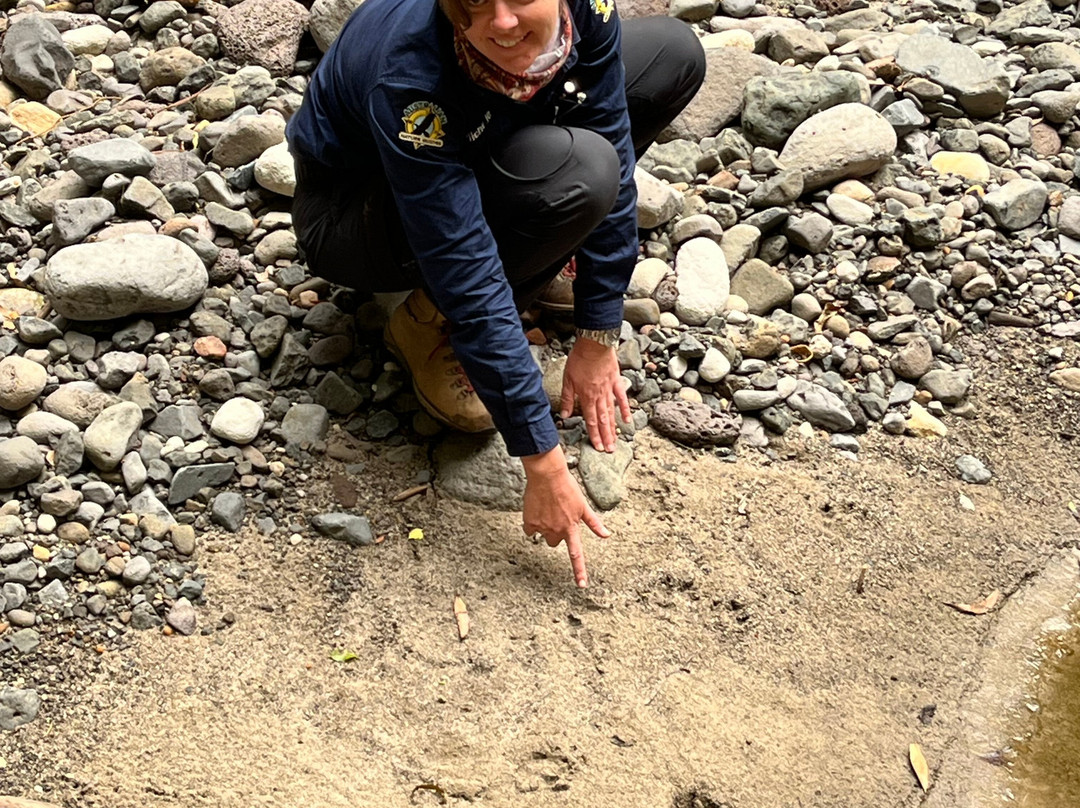 Australian Nature Guides-Carnarvon National Park必去景点