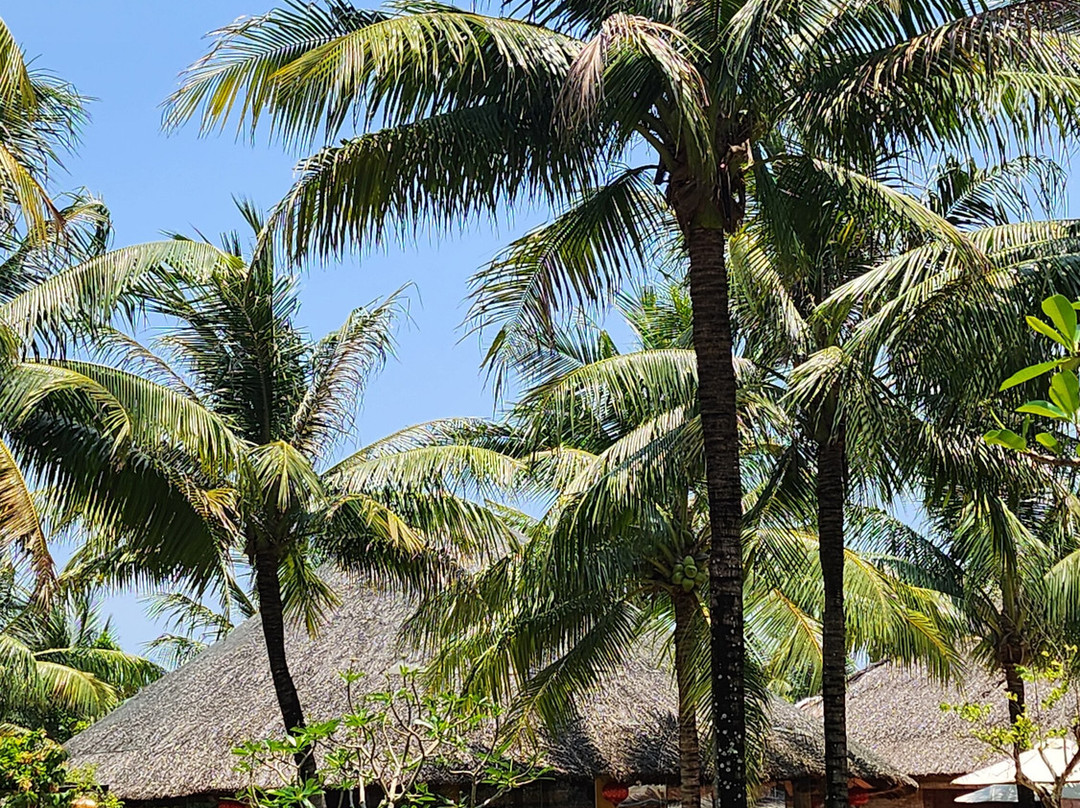 ENSO Retreat Hoi An - Rediscovery & Serenity主图