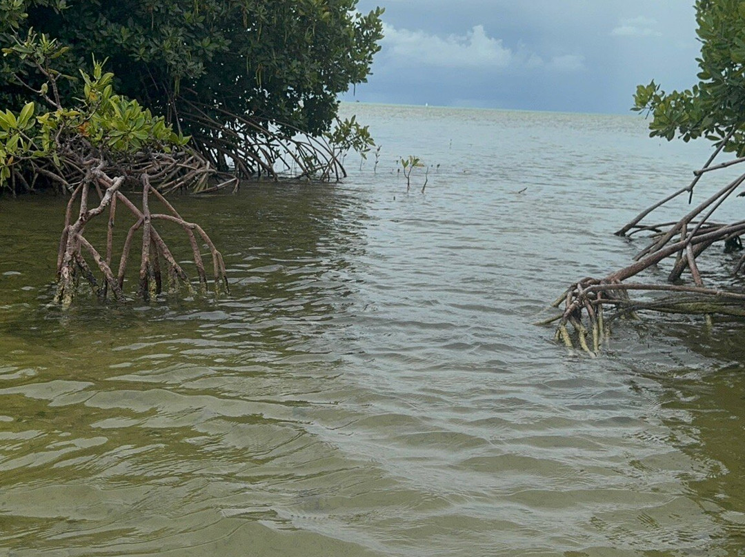 Tommy Gaunt Kitesurfing-Anegada必去景点