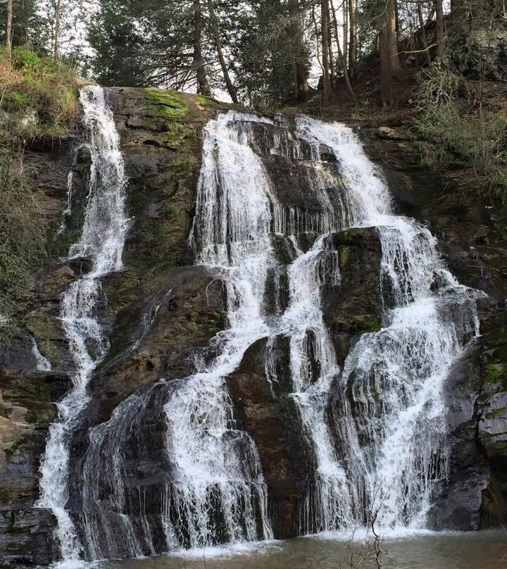 Brasstown Falls景点图片