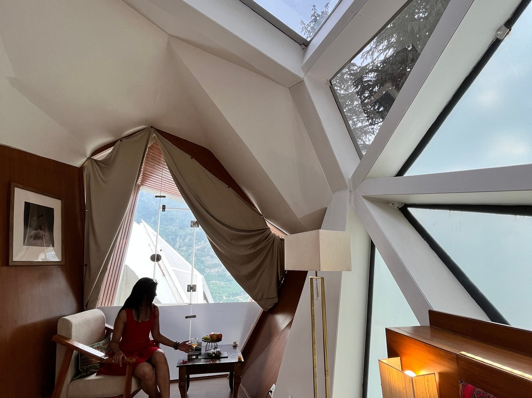 Tree of Life Eila Art Hotel, Manali主图