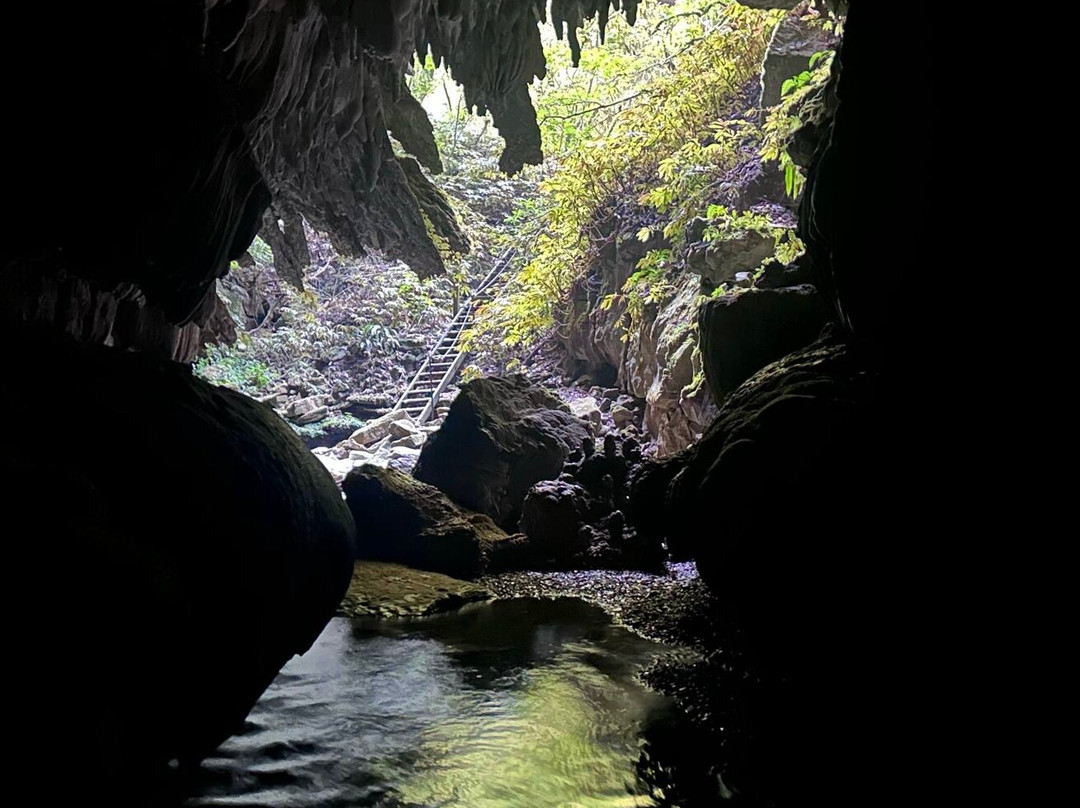 Down To Earth - Eco Cave Tours In Waitomo-怀托摩洞穴必去景点