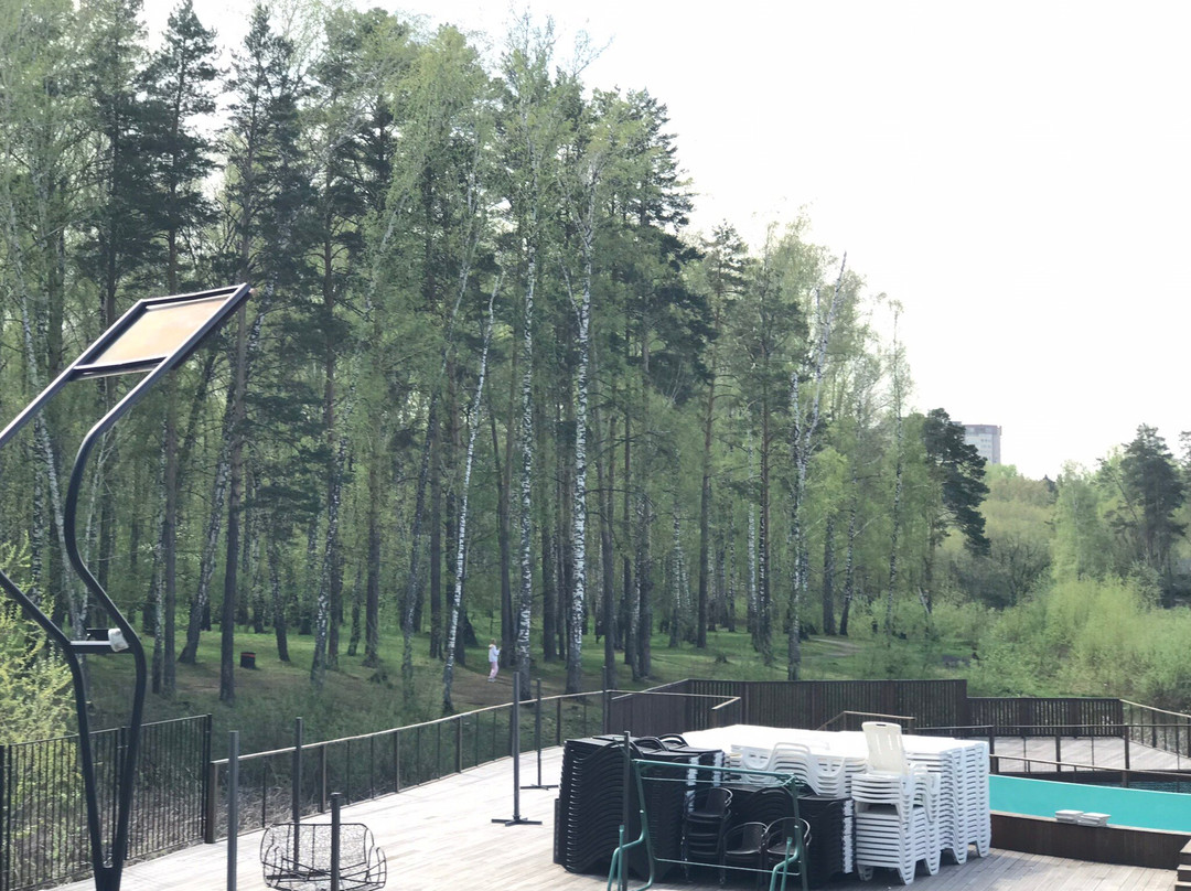 Mira Termy. Sosnovy bor-新西伯利亚必去景点