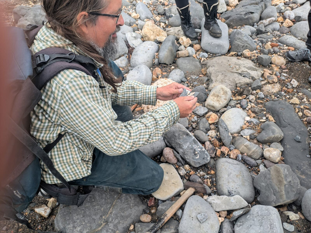 Lyme Regis fossil walks-Charmouth必去景点
