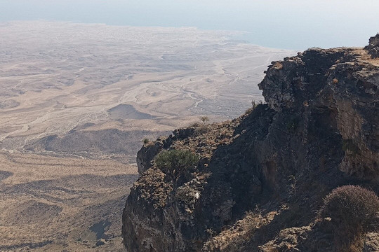 Ali nasser-塞拉莱必去景点