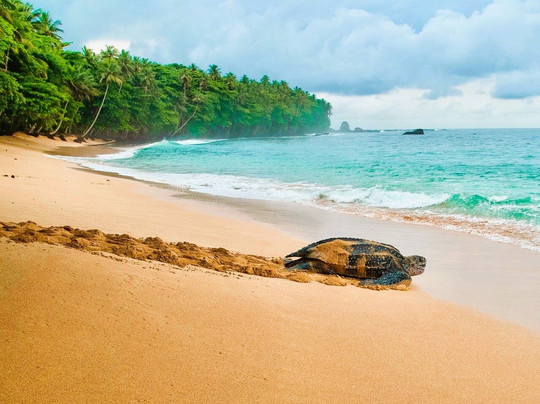 Vamos Fugir? Viagens e Expedições