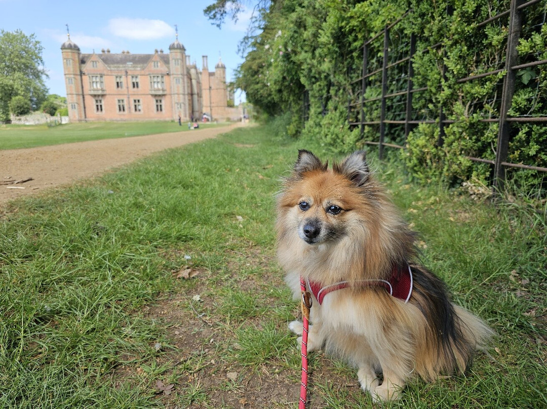 National Trust - Charlecote Park景点图片