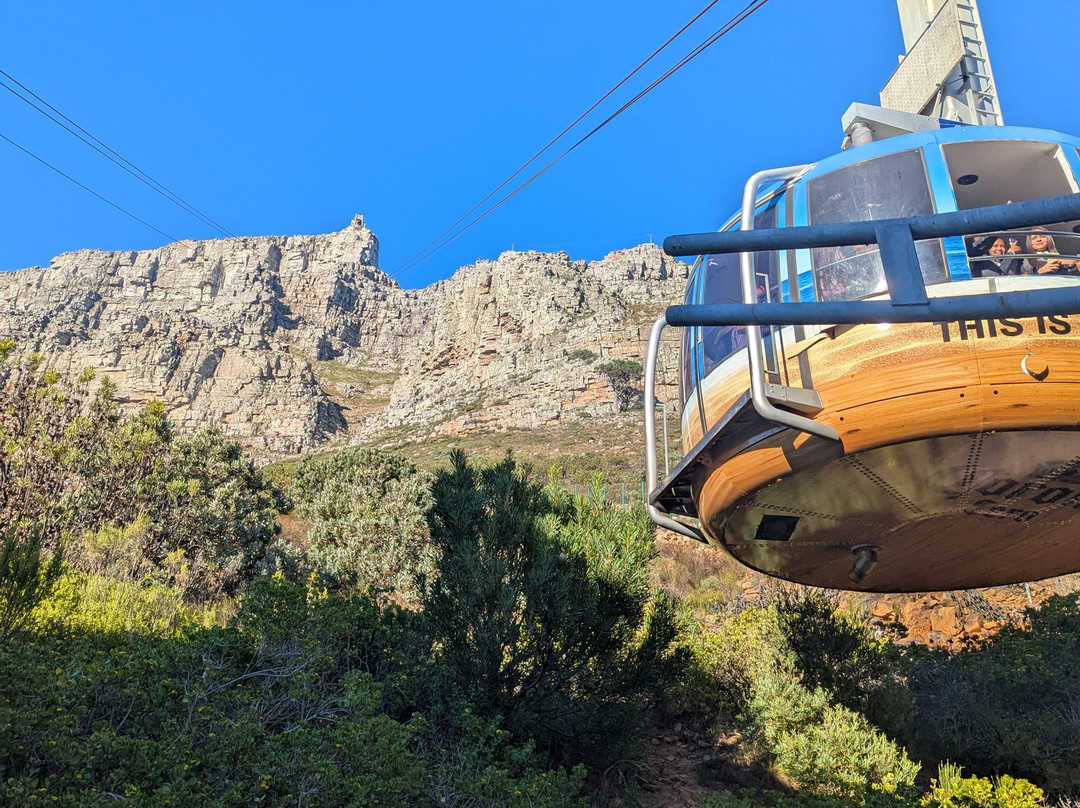 Luhambo Tours-开普敦中心区必去景点