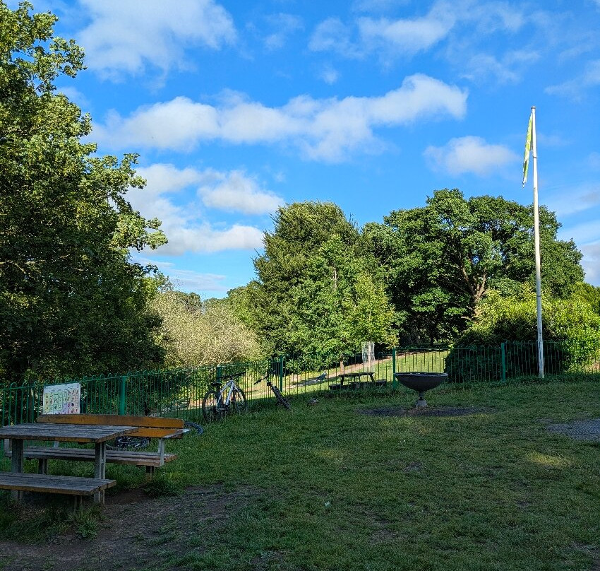 Acton Park景点图片