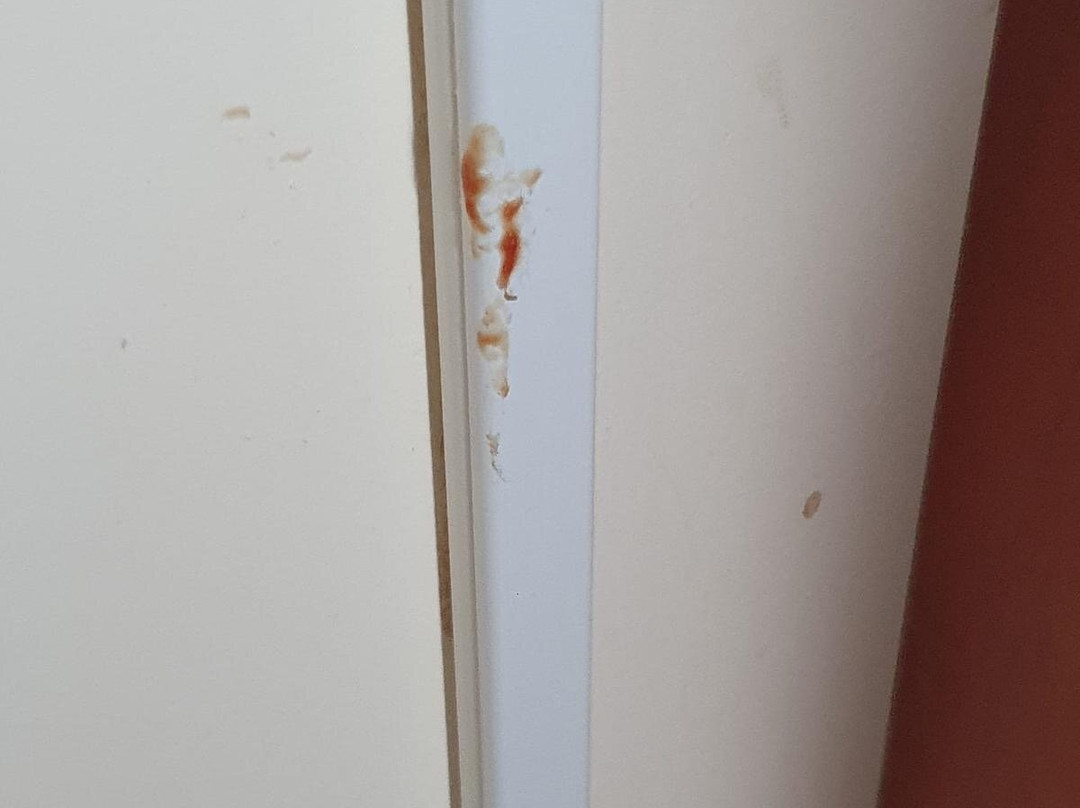 The Shurland Hotel主图