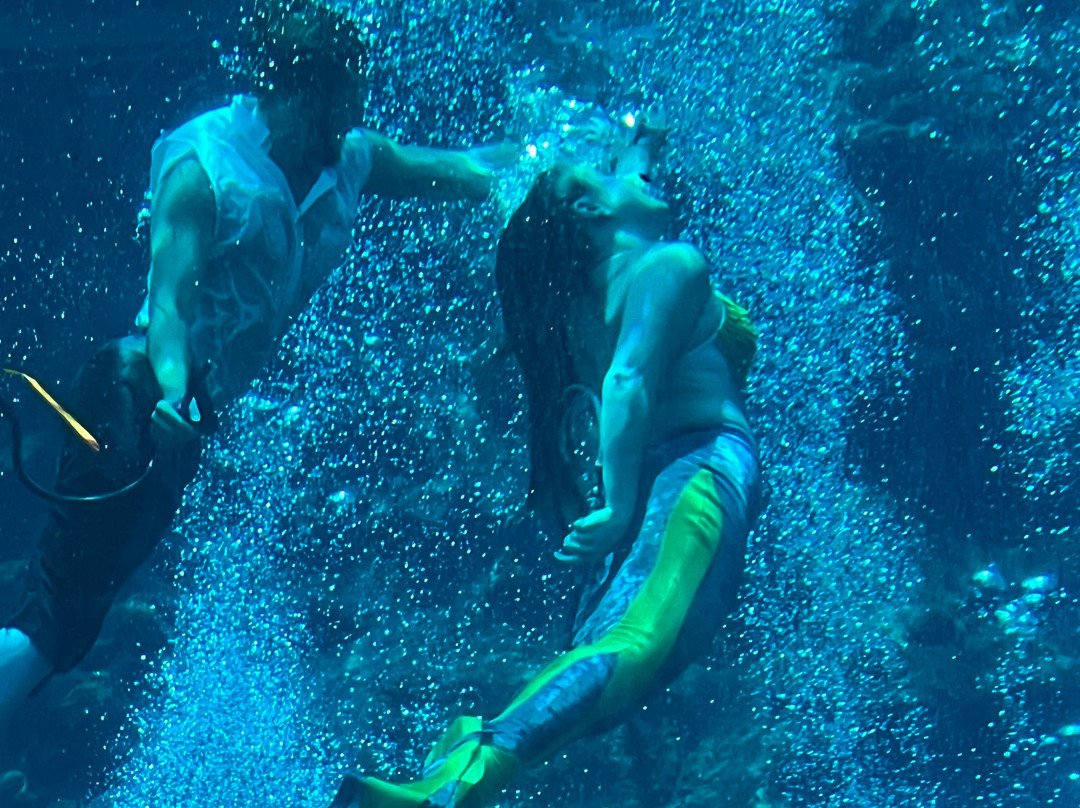 Weeki Wachee Springs State Park景点图片