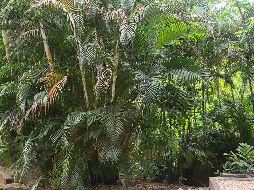 Nammbu Beachfront Bungalows主图