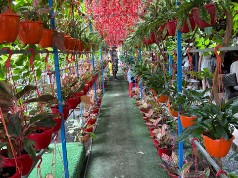 Halu Vietnam Tours-胡志明市必去景点